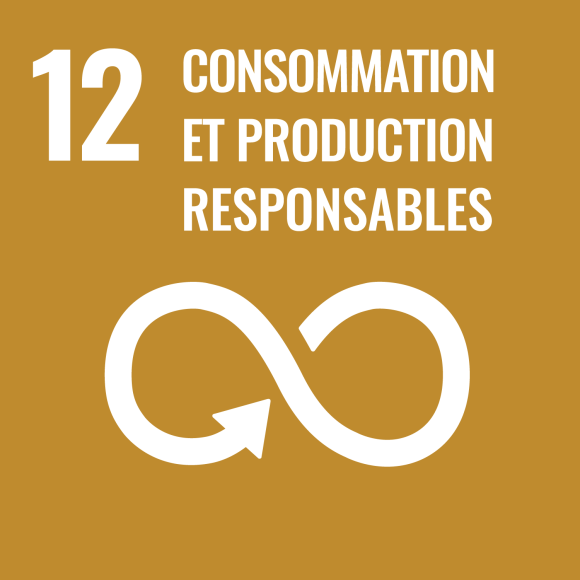 12. Consommation et production responsables