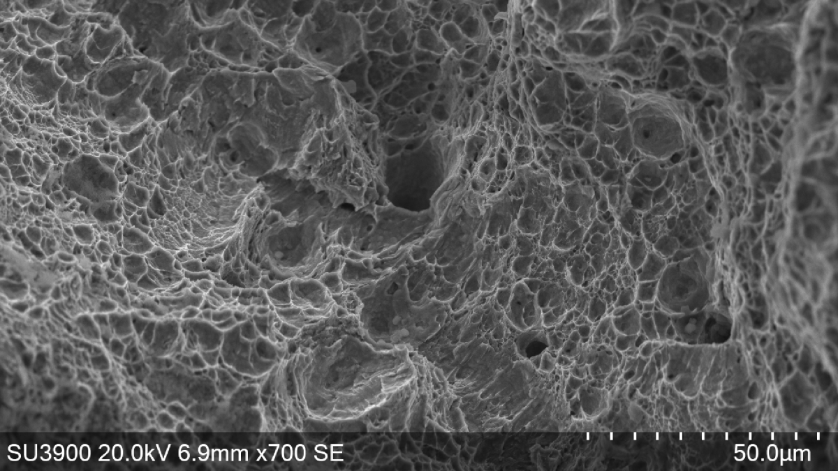 Kernbereich Bruchfläche: Duktile transkristalline Wabenstruktur